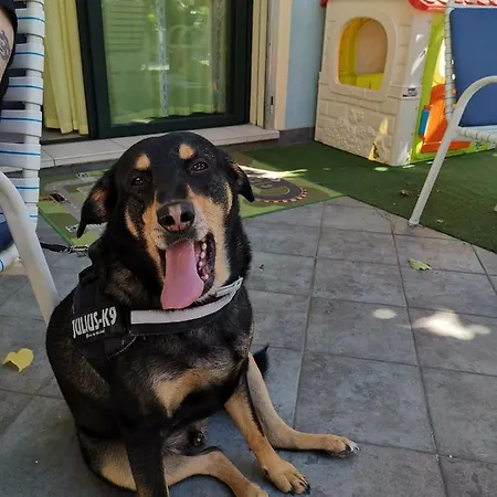 Marittimo فندق ريميني