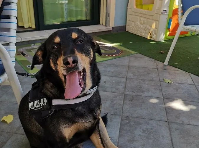 Marittimo فندق ريميني